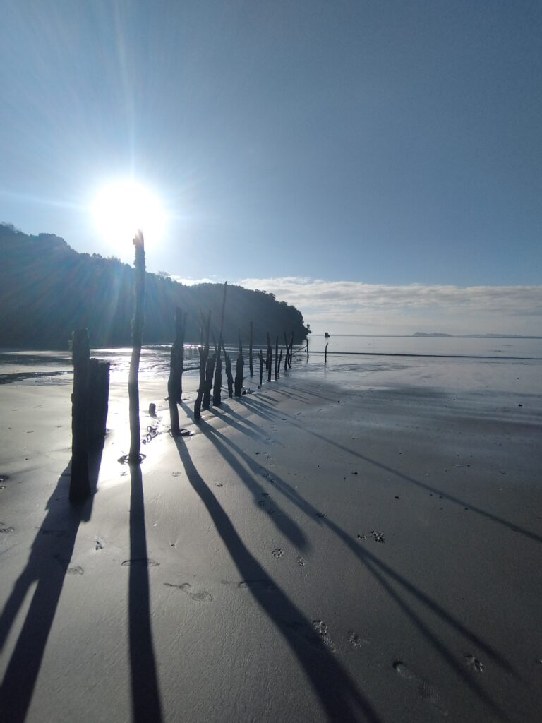 Playa de Arrayanes de Ahui